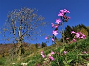 BAITA CAMPO splendente d’autunno- 27 ottobre 2022- FOTOGALLERY